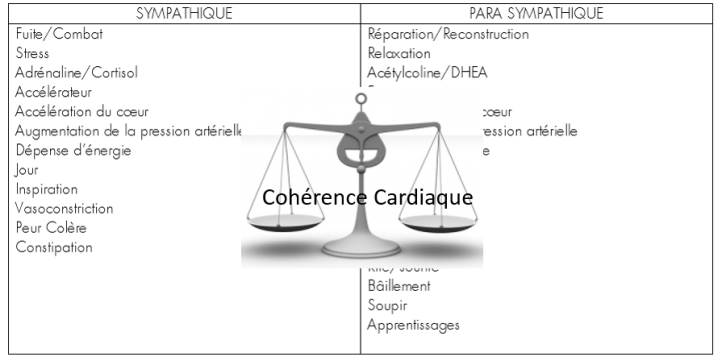 Balance équilibre SNA CC